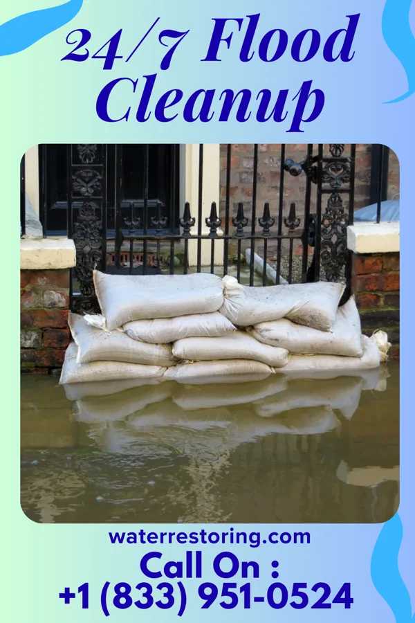 24/7 Flood Cleanup in Repton, AL